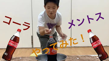 メントスコーラ 小学生