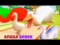 lagu Potong Bebek Angsa || bebek lucu kucing lucu | anjing lucu, beruang dan orang utan.