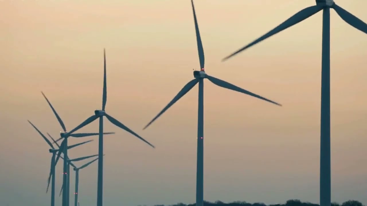 Wind turbine - Bird Death, Culling. Wind turbine farms and sea farms killing avian a problem.