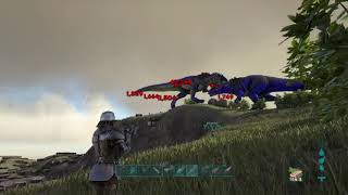 ARK #ABNORMAL GAMING / WIPE OF RxG / PVP-RAID /