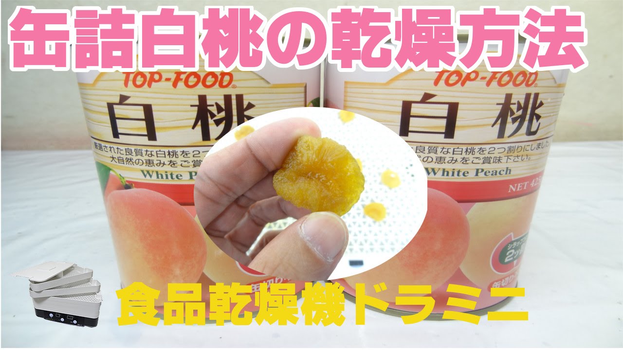 缶詰白桃を乾燥させドライピーチを作る Youtube