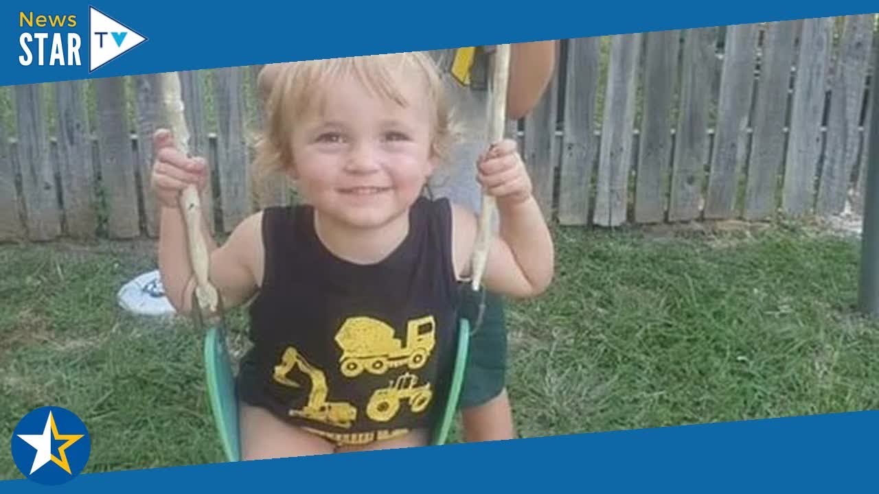 Horror as toddler mauled to death by family dog - calls for changes ...