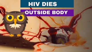 How fast HIV dies outside the body ?