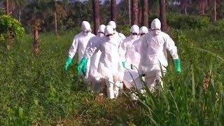 Battling Ebola: U.S. to send 3,000 troops to West Africa