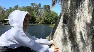 Have you ever seen a turtle climb a tree? ￼