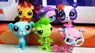 Red Carpet Collector Set Красная Ковровая Дорожка - Littlest Pet Shop - Hasbro - A6273