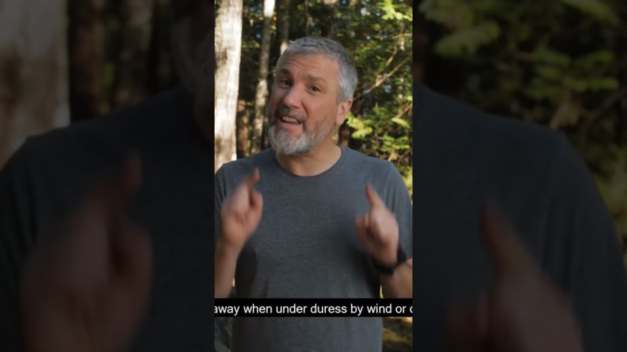 VIRAL SURVIVAL GEAR #woodworking #viralvideos #foryou #fun #freefire #funnyshorts