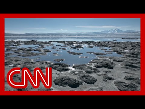 Great Salt Lake’s disappearance is an ‘imminent’ crisis