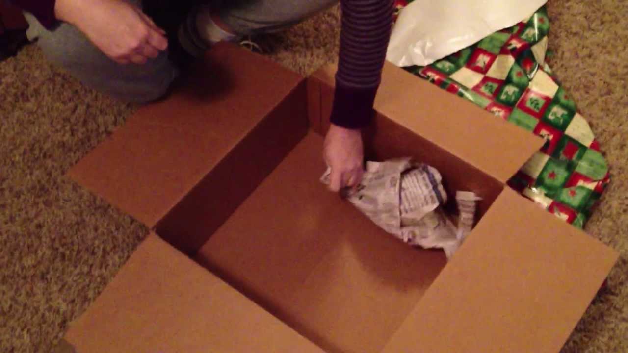 SURPRISE CHRISTMAS EVE PROPOSAL 2012*