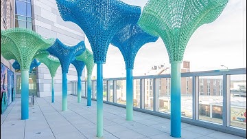 Branch Technology - Series Introduction