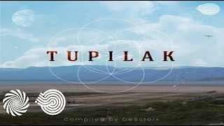 Cavemen In Dub - The Missing Lynx