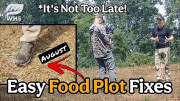 August Food Plot Fixes