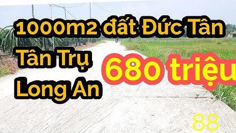 Bán đất Đức Tân Tân Trụ Long An