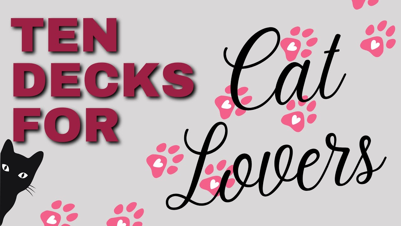 10 Decks for Cat Lovers - YouTube