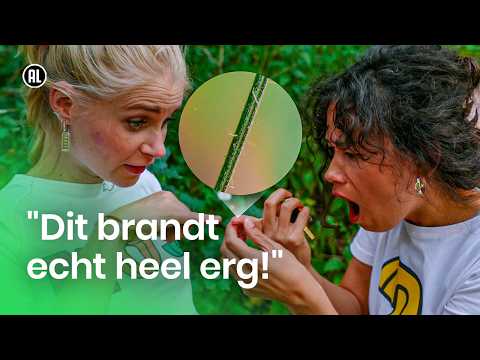 Helpt plas tegen de pijn van een brandnetel? | NOJ