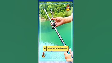 Gác Cần Câu Đài Kèm Chân Cắm Đất Xoay 360  #câu_cá #fishing #fishinglife #taphoadocau #dammecauca