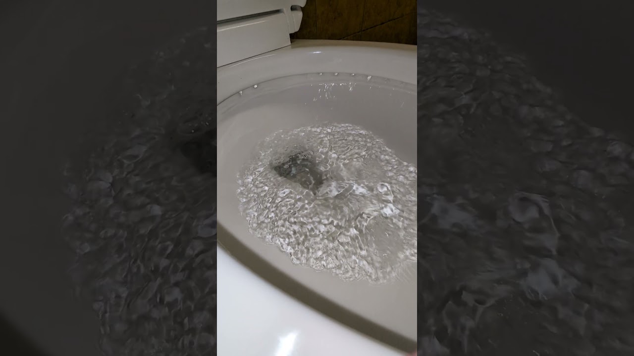 2024 KOHLER Highline Arc Rimshot