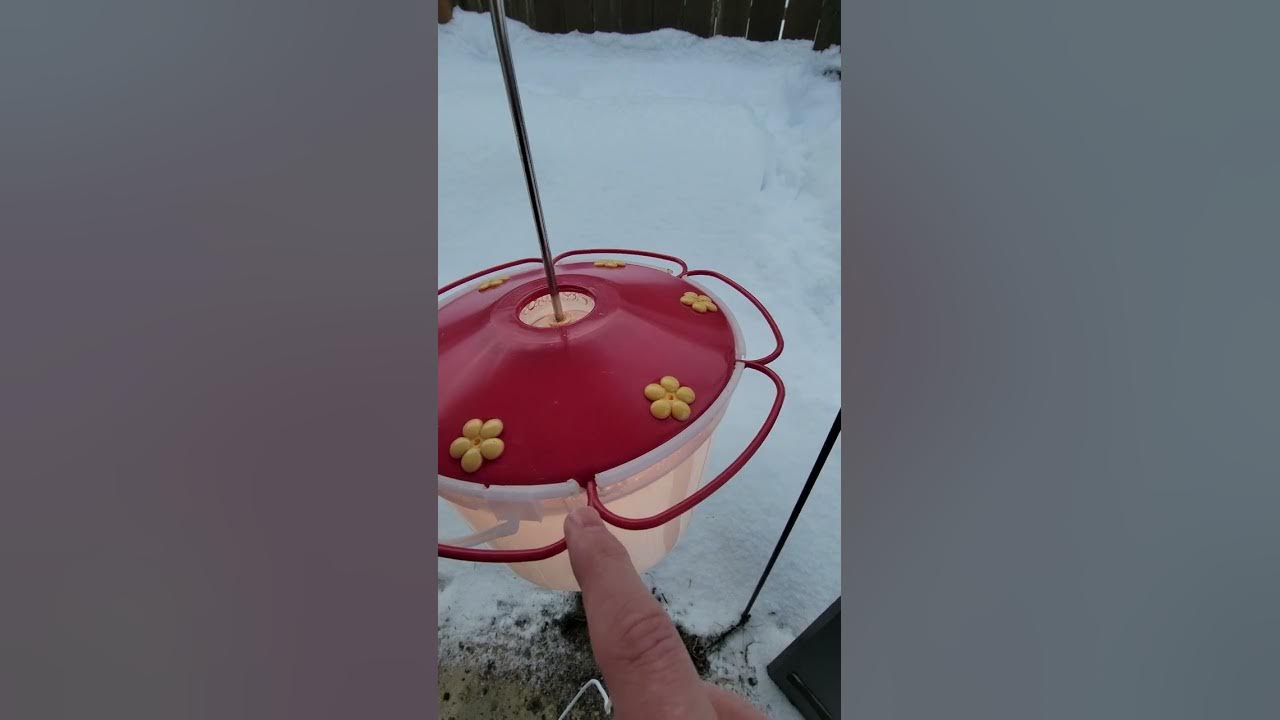 Jason's DIY Humming Bird Feeder Heater !! YouTube