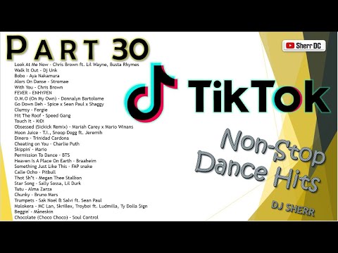 TikTok Non-Stop Dance Hits Part 30 | DJ Sherr