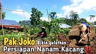 SEMANGAT BIKIN GULUTAN UNTUK TANAM KACANG TANAH ||ALHAMDULILLAH TANAHNYA DI SINI SANAG SUBUR ‼️