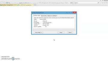 Download Big File From Google Drive Using IDM Demo