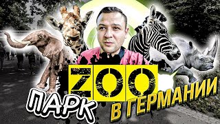 видео: ЗООПАРК В ГЕРМАНИИ.БЕСПЛАТНЫЕ НАПИТКИ И ЕДА.ЗООЛОГИЧЕСКИЙ КОМПЛЕКС КАРЛСРУЭ картинка: ЗООПАРК В ГЕРМАНИИ.БЕСПЛАТНЫЕ НАПИТКИ И ЕДА.ЗООЛОГИЧЕСКИЙ КОМПЛЕКС КАРЛСРУЭ