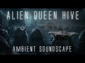 Alien Queen Hive Ambient Soundscape | 3 Hours