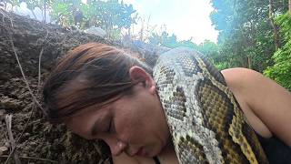 Giant Python Attack in the Jungle! Brave Woman Faces a Massive Snake Alone 😱
