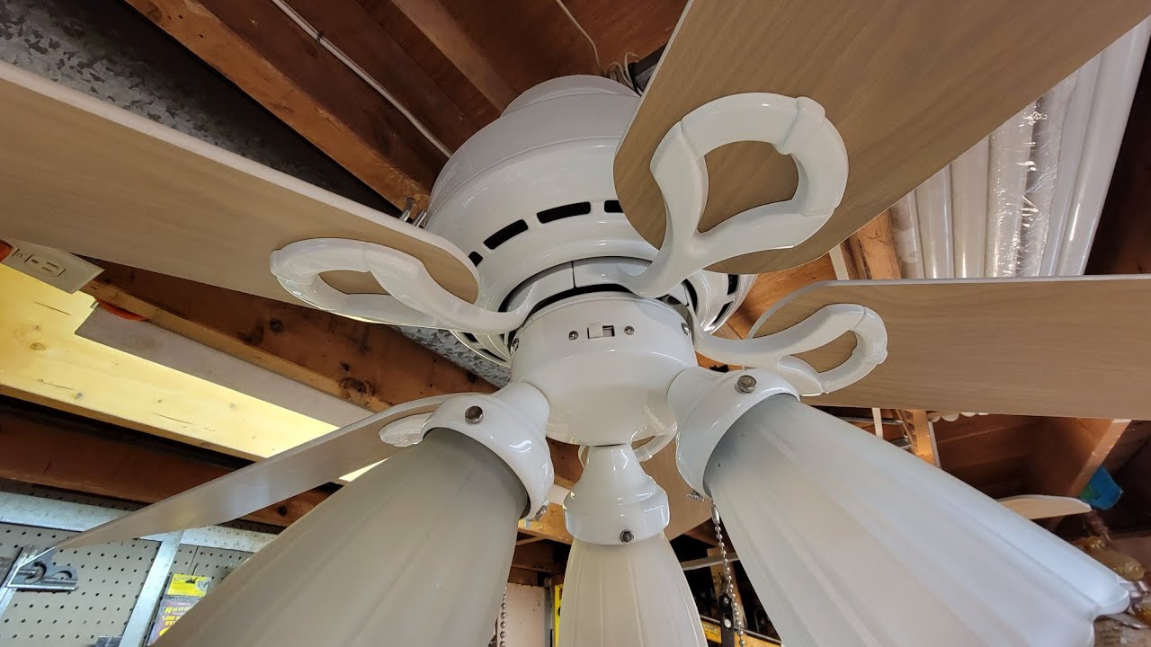 Hunter Coastal Breeze Ceiling Fan | Shelly Lighting