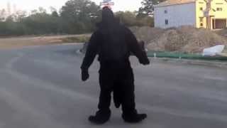 Fursuit Transformation Pt.5 Zekio