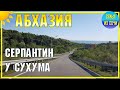 АБХАЗИЯ | Серпантин у СУХУМА | Субтропический рай в отдельно взятой стране