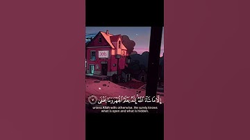 عبد الرحمن مسعد - سورة الأعلى.. تلاوة جميلة وهادئة