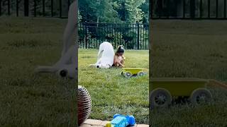 Funny Animals 2024   Funniest Cats and Dogs video   #shorts