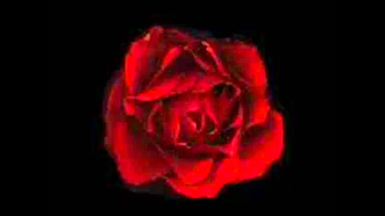 Bryan white you know how i feel with lyrics youtube