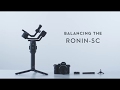 Ronin-SC｜バランス調整(JP字幕)