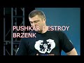 pushkar destroy brzenk