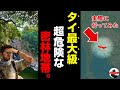 危険生物がウヨウヨいるタイの密林地帯に行ってみた！！【カオヤイ国立公園】【超危険】