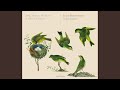 Miniature de la vidéo de la chanson Guitar Quintet In E Minor, G. 451: Ii. Adagio