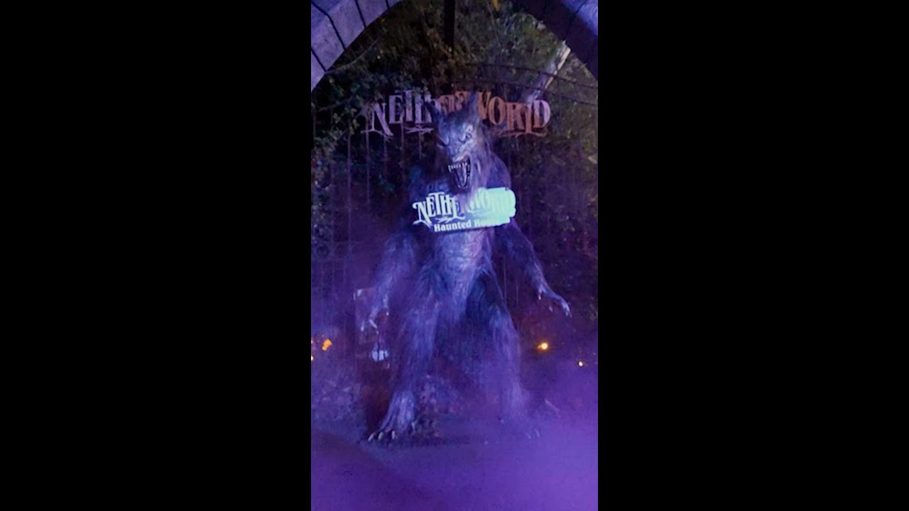 CNN correspondent goes undercover at Netherworld Haunted House