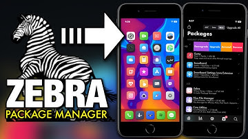 Zebra Package Manager Review & Guide iOS 13