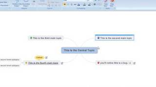 Dragon, MindManager & VoxEnable on a Plane Pt 4