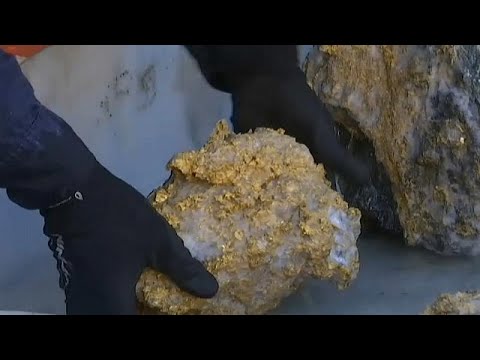 شركة تعدين كندية تكتشف صدفة صخوراً تحوي نحو 300 كيلوغرام من الذهب