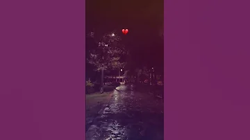 فيديو فيه أغاني متبرئة منكم أغنية خلاك قلبك ونسيتي شافوتنا 