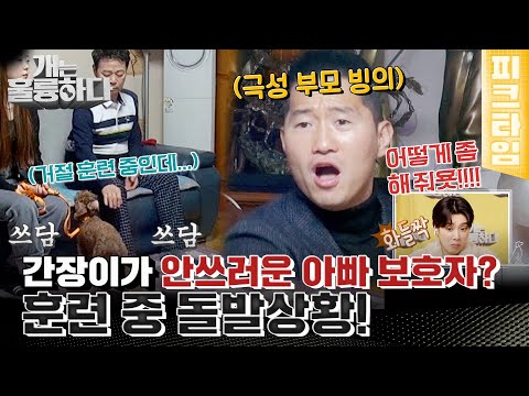 [피크타임] 강 훈련사 난관 봉착? 간장이의 구슬픈 소리에 흔들리는 아빠 보호자 설득하기 | 개는 훌륭하다 | KBS 220124 방송