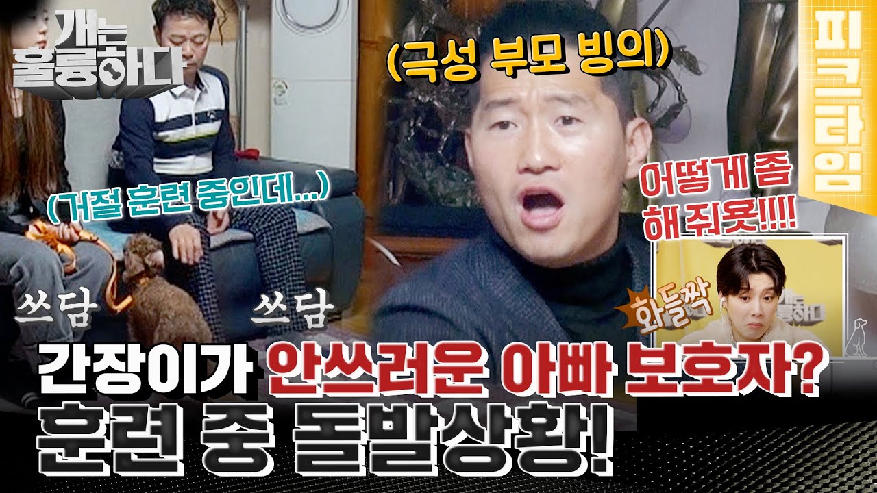 [#피크타임] 강 훈련사 난관 봉착? 간장이의 구슬픈 소리에 흔들리는 아빠 보호자 설득하기 | #개는훌륭하다 | KBS 220124 방송