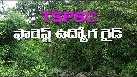 T-SAT || FOREST UDYOGA GUIDE || Mathematics - Quadratic Equations || P.Suresh kumar