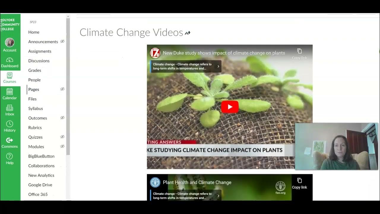 Overview of canvas module youtube