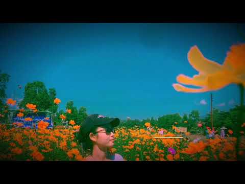 ดอกฟ้า - Labanoon [cover by nuna]