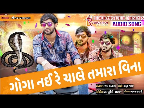 Goga Nai Re Chale Tamara Vina || Sanjay Chadasana || Leboj Ram Studio