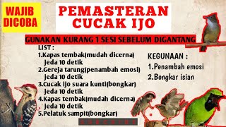 MASTERAN CUCAK IJO   JEDA | CUCAK IJO BONGKAR ISIAN . KURANG 1 SESI BUNYIKAN MASTERAN INI .